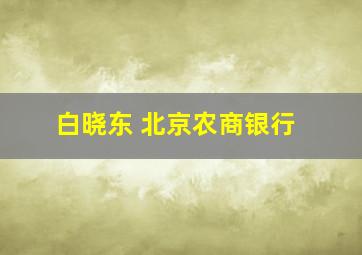 白晓东 北京农商银行